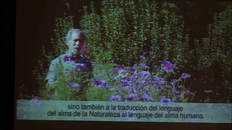 Gu&iacute;a para Comprar Cosm&eacute;tica Natural en Esplugues de Llobregat
