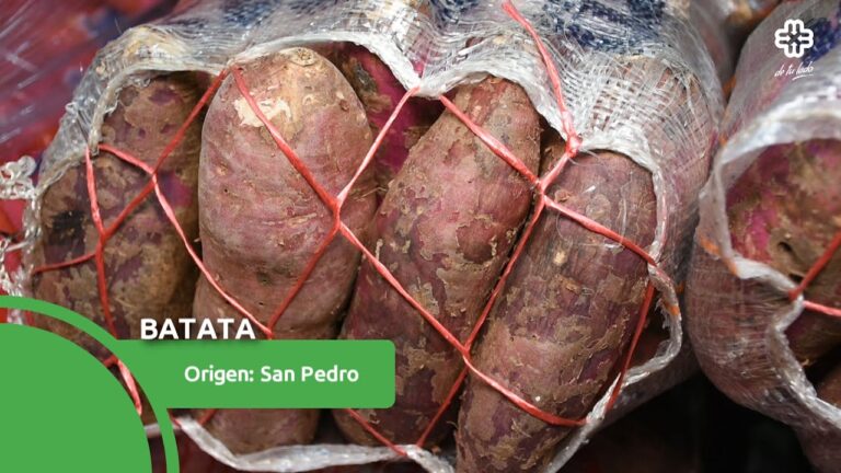 Gu&iacute;a para Encontrar Mercados Ecol&oacute;gicos en Manresa